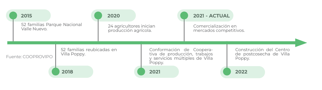 Chronology of Villa Poppy: A Timeline of Sustainable Growth and Innovation