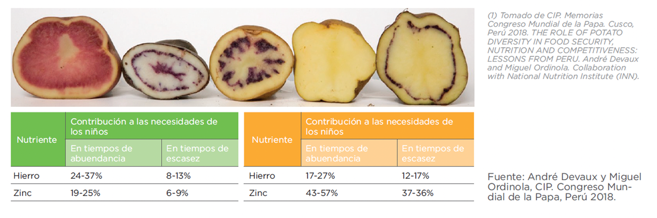 Papas nativas nutritivas