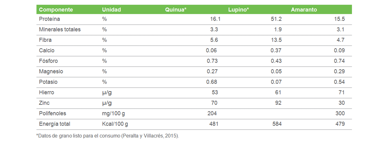 Nutrientes bajo lupa