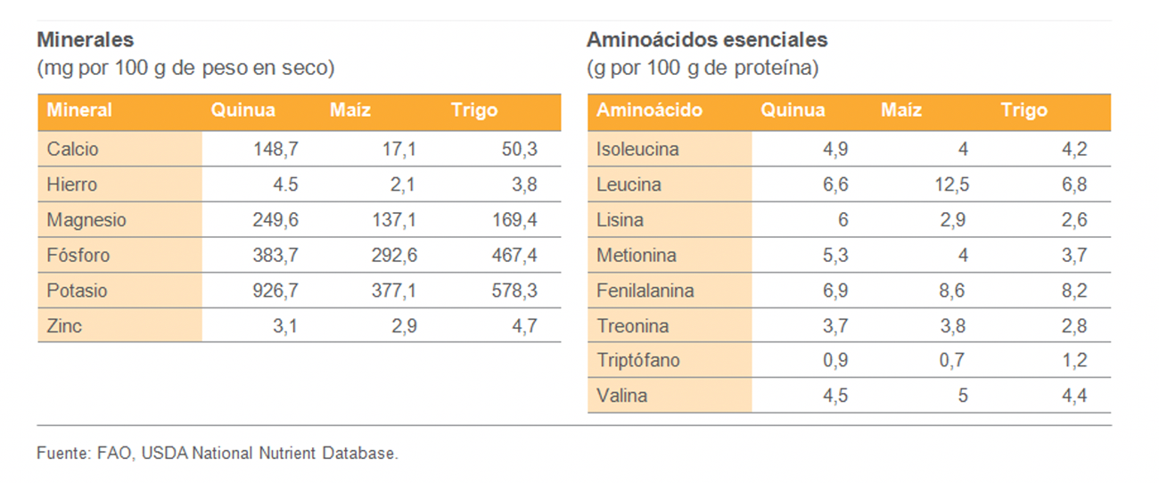 Quinua versus cereales