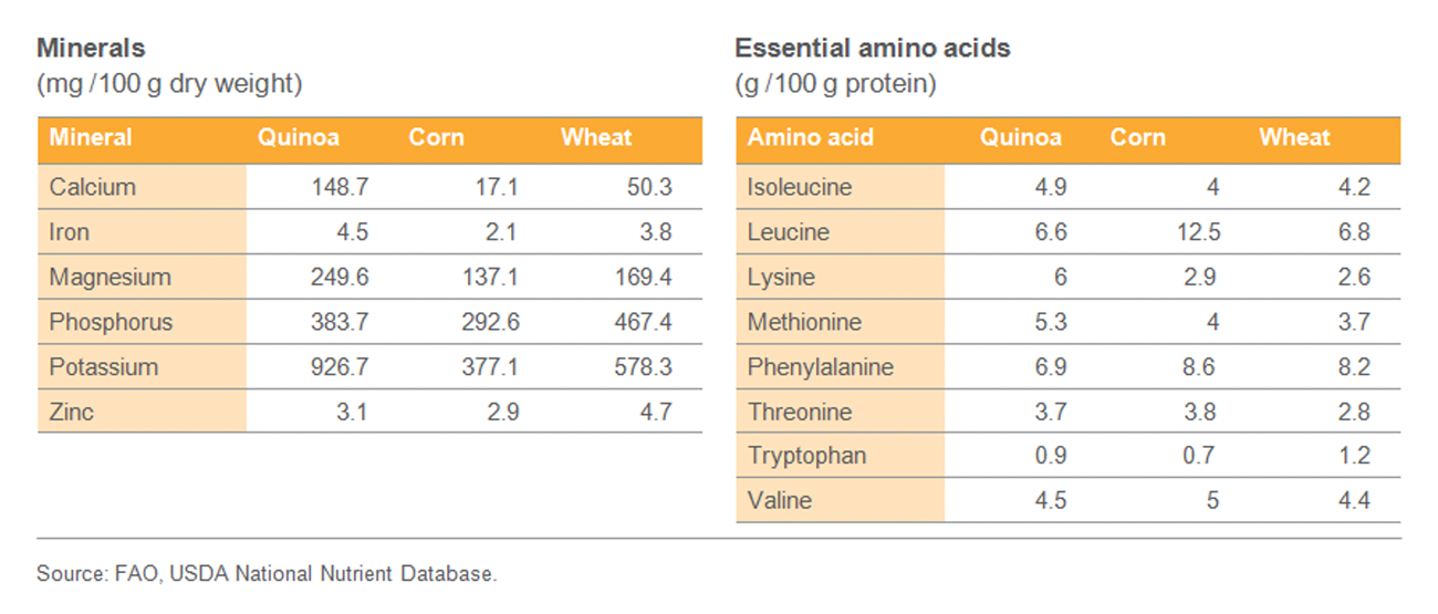 Quinoa vs. cereal grains