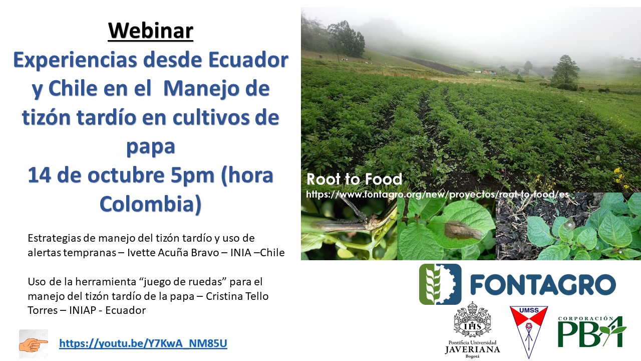 Flyer webinar tizon tardio