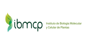 IBMCP - UPV