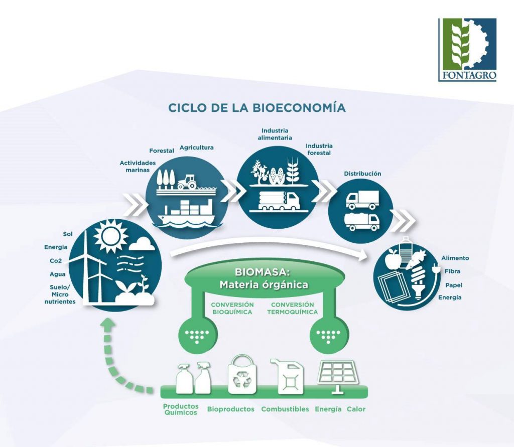 CICLO_BIOECONOMIA