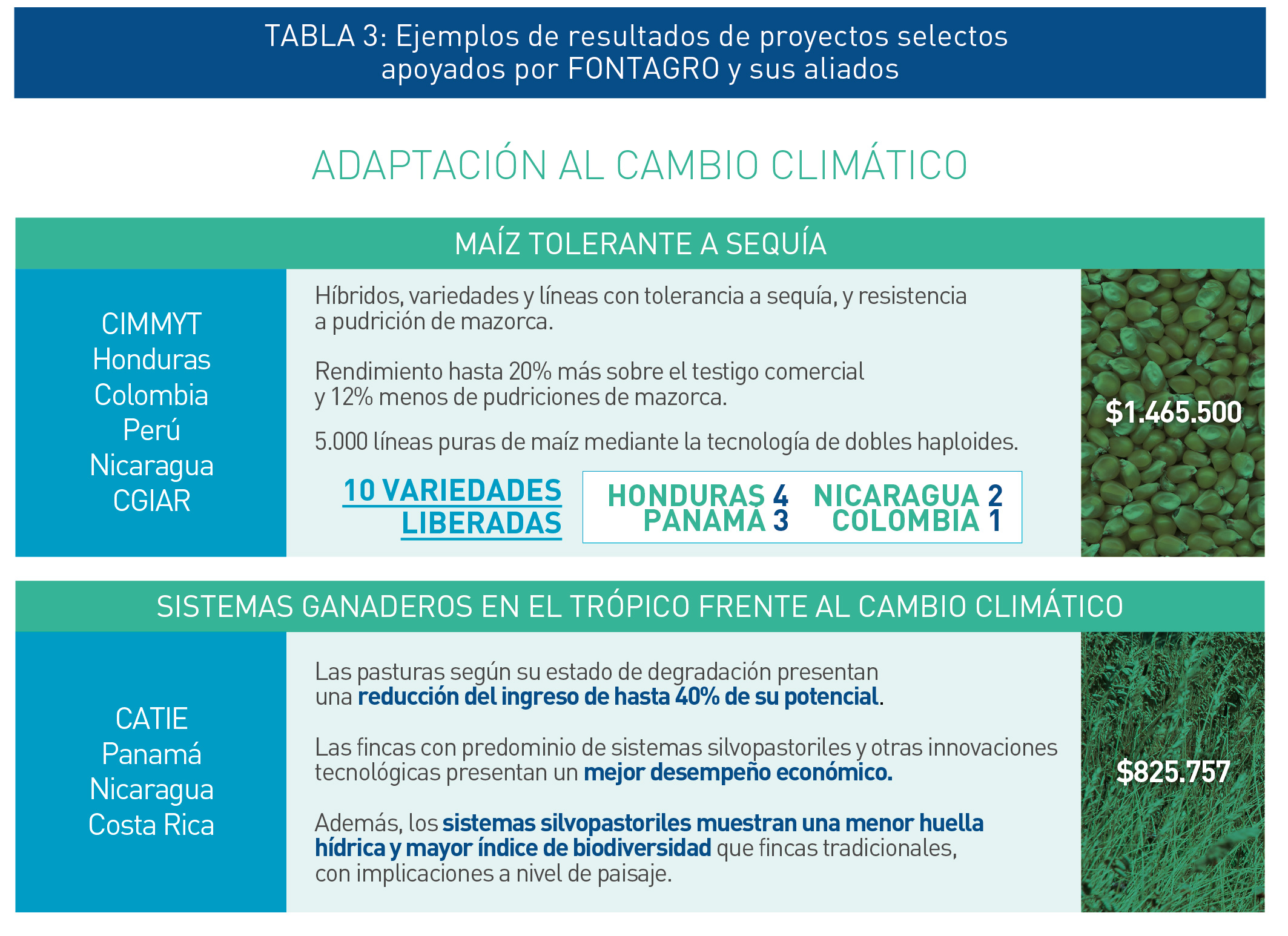 adaptacion-cambio-climatico